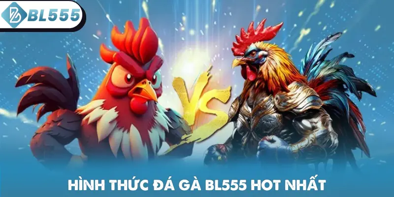 Hình thức đá gà BL555 hot nhất