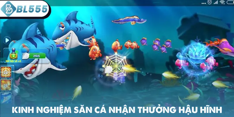 Kinh nghiệm săn cá chuẩn nhận thưởng hậu hĩnh